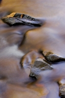 Abstract;Abstractions;Autumn;Boulder;Brook;Brown;Chatsworth;Chattahoochee-Nation